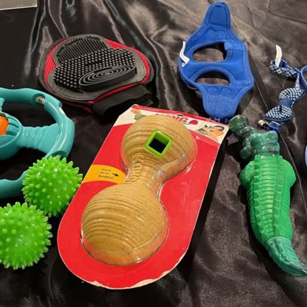 Dog Toy and Accessory Bundle with KONG Treat Dispenser